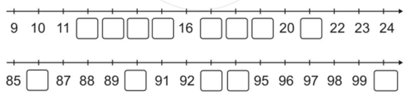Vở bài tập Toán lớp 2 Cánh diều Bài 3: Tia số. Số liền trước – số liền sau (trang 8)