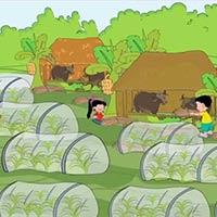 Giáo án Hoạt động trải nghiệm 6 Chủ đề 3 Bài 2: Ứng phó với thiên tai