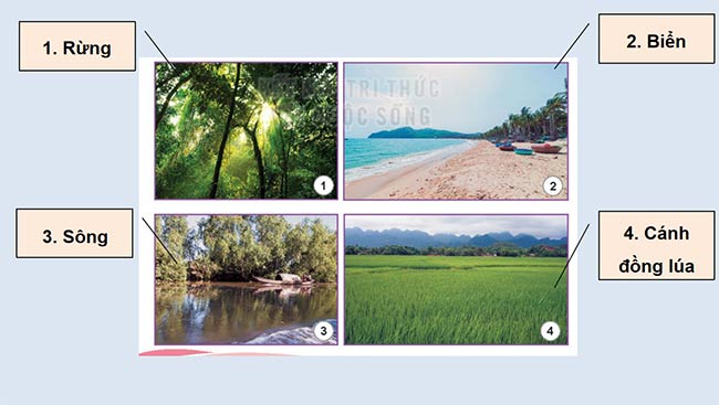 PowerPoint HĐTN 6: Khám phá cảnh quan thiên nhiên