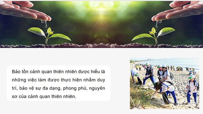 PowerPoint HĐTN 6: Bảo tồn cảnh quan thiên nhiên