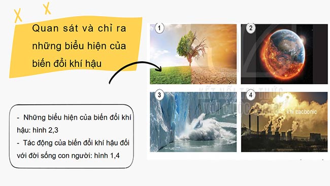 PowerPoint HĐTN 6: Ứng phó với biến đổi khí hậu