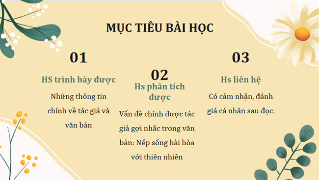Bản tin về hoa anh đào