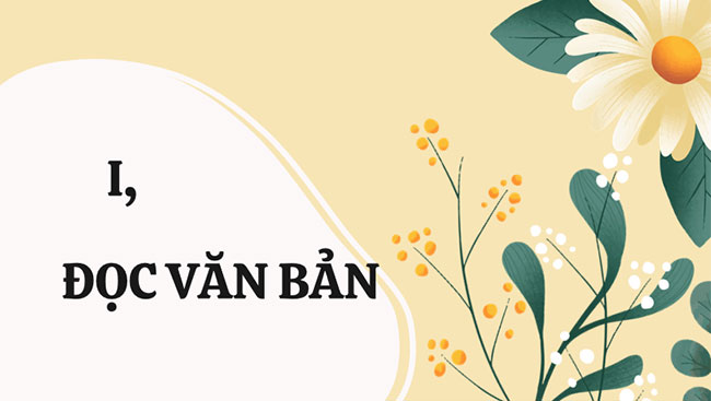 Bản tin về hoa anh đào