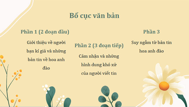 Bản tin về hoa anh đào