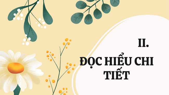 Bản tin về hoa anh đào