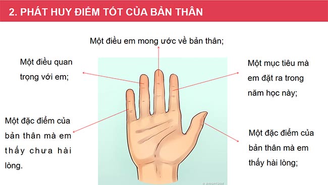 PowerPoint Hoạt động trải nghiệm 6: Trở thành người lớn