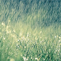 Giáo án Ngữ văn 9 Bài 2: Tiếng đàn mưa