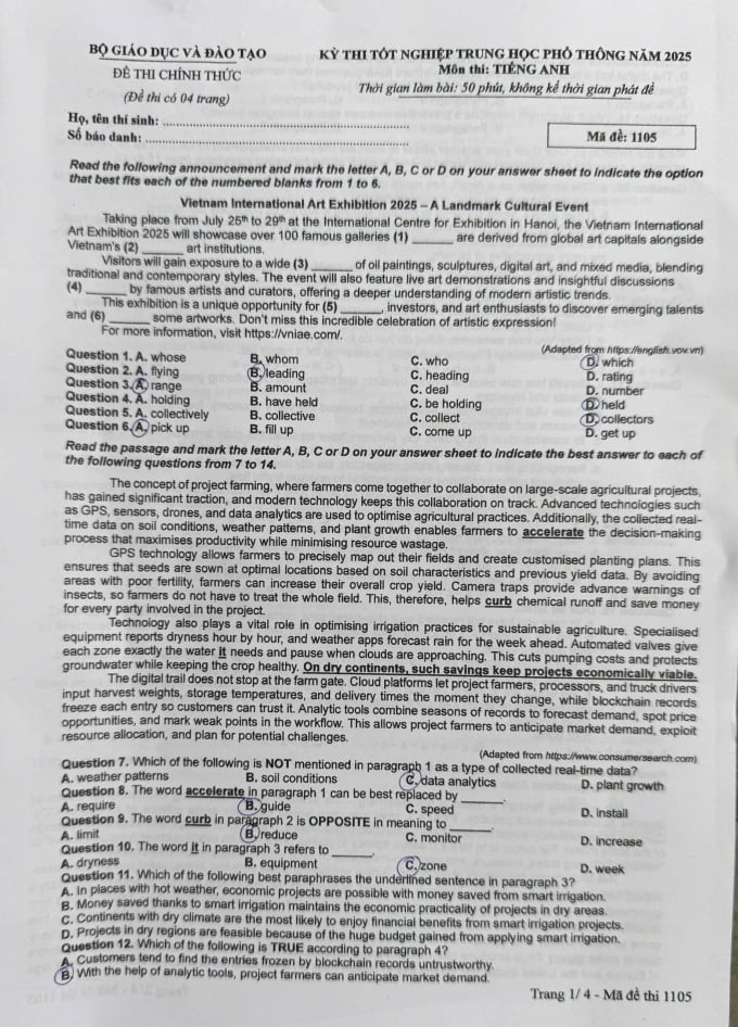 Đáp Án Đề Thi THPT Quốc Gia 2025 Môn Tiếng Anh