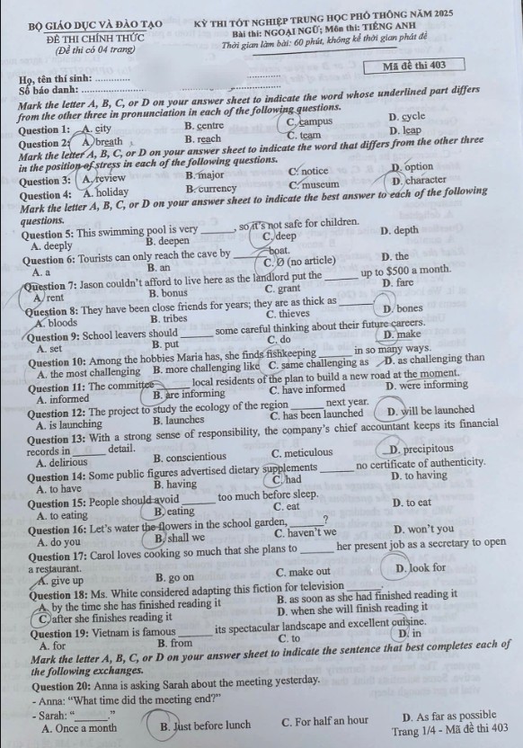 Đáp Án Đề Thi THPT Quốc Gia 2025 Môn Tiếng Anh (chương trình cũ)