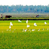 Giáo án Ngữ văn 9 Bài 4: Ngày xưa