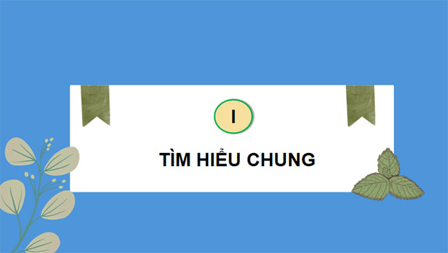 Văn hóa hoa cây cảnh