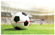 A football ball on a fieldDescription automatically generated