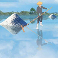 Giáo án Tiếng Việt 5: Mặn mòi vị muối Bạc Liêu