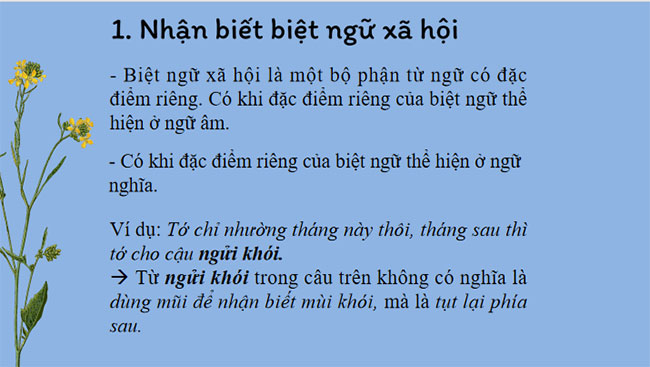 Giáo án PowerPoint Ngữ văn 8 Bài 1: Thực hành tiếng Việt trang 16