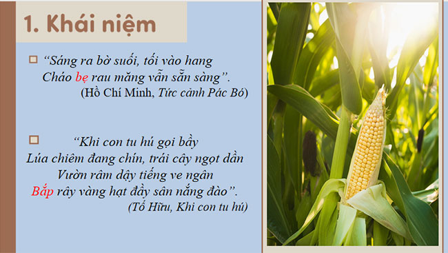 Giáo án PowerPoint Ngữ văn 8 Bài 1: Thực hành tiếng Việt trang 24