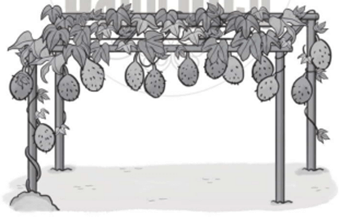 Vở bài tập Toán lớp 2 Cánh diều Bài 19: Bảng trừ (có nhớ) trong phạm vi 20 (trang 30)