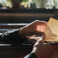 Giáo án Ngữ văn 8 Bài 10: Đọc như một hành trình 