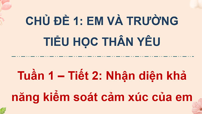 PowerPoint Hoạt động trải nghiệm 5 Tuần 1