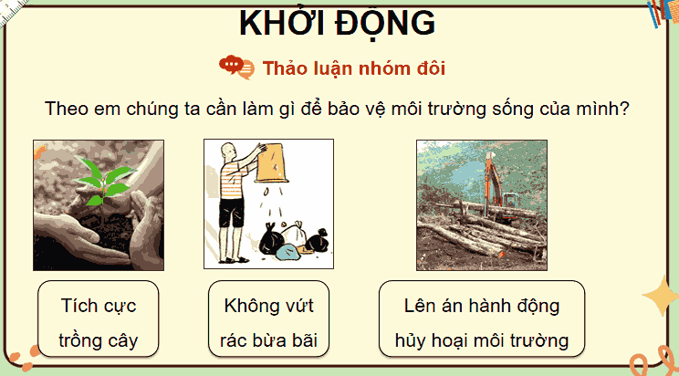 Bài 2: Cánh đồng hoa