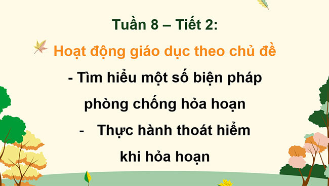 PowerPoint Hoạt động trải nghiệm 5 Tuần 8