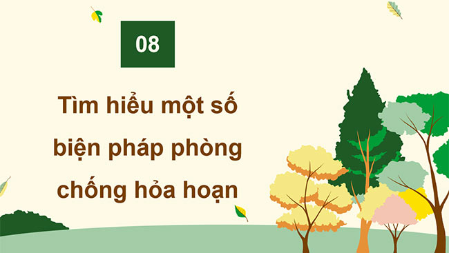 PowerPoint Hoạt động trải nghiệm 5 Tuần 8