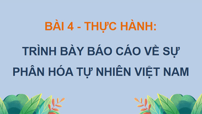 Thực hành trình bày báo cáo về sự phân hoá tự nhiên Việt Nam 