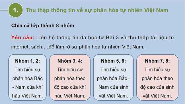 Thực hành trình bày báo cáo về sự phân hoá tự nhiên Việt Nam 