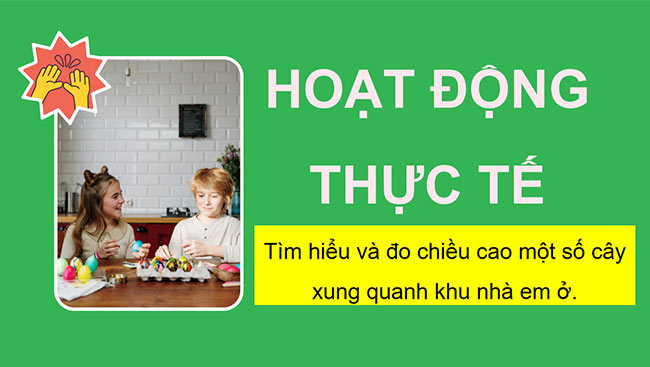 PowerPoint Toán 2: Tìm hiểu về chiều cao của cây ở trường em