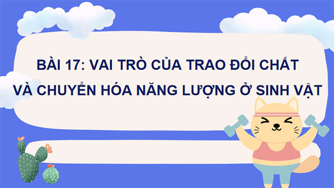 Giáo án PowerPoint Khoa học tự nhiên 7 Cánh diều Bài 17