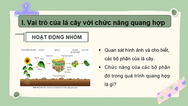 Giáo án PowerPoint Khoa học tự nhiên 7 Cánh diều Bài 18