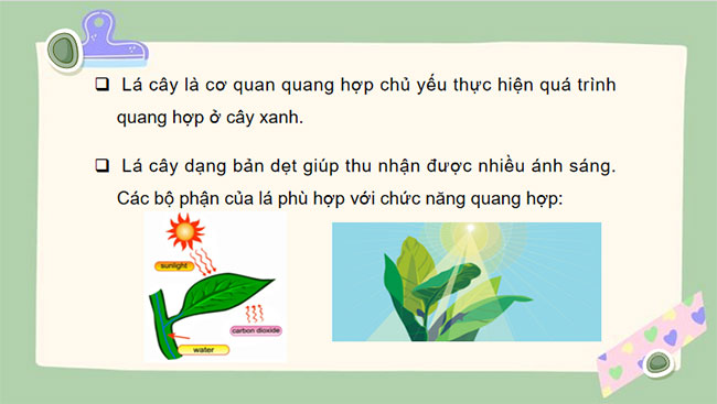 Giáo án PowerPoint Khoa học tự nhiên 7 Cánh diều Bài 18