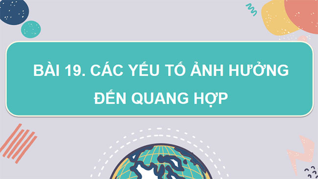 Giáo án PowerPoint Khoa học tự nhiên 7 Cánh diều Bài 19