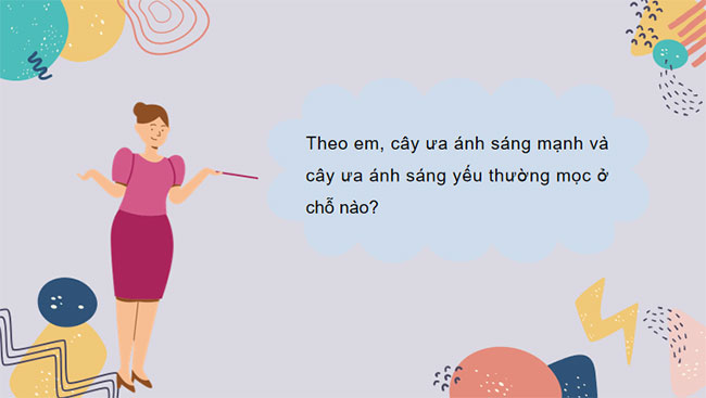 Giáo án PowerPoint Khoa học tự nhiên 7 Cánh diều Bài 19