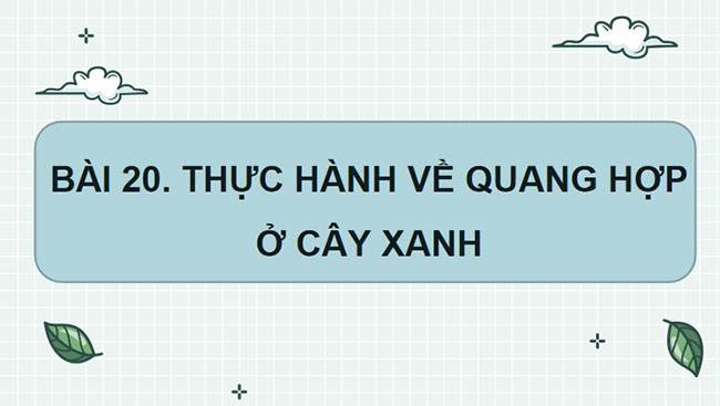 Giáo án PowerPoint Khoa học tự nhiên 7 Cánh diều Bài 20