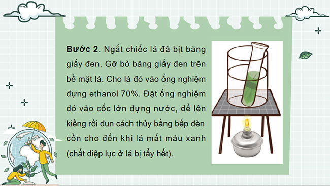 Giáo án PowerPoint Khoa học tự nhiên 7 Cánh diều Bài 20