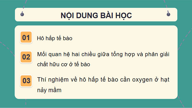 Giáo án PowerPoint Khoa học tự nhiên 7 Cánh diều Bài 21