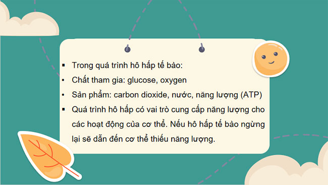 Giáo án PowerPoint Khoa học tự nhiên 7 Cánh diều Bài 21