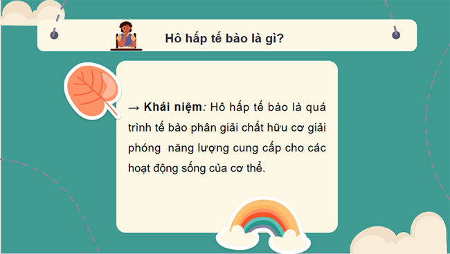 Giáo án PowerPoint Khoa học tự nhiên 7 Cánh diều Bài 21