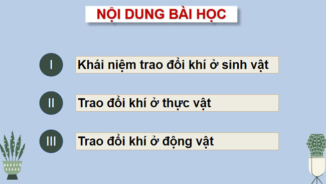 Giáo án PowerPoint Khoa học tự nhiên 7 Cánh diều Bài 23