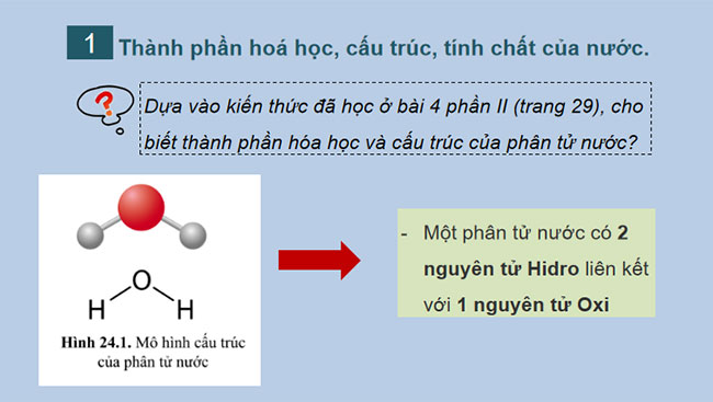Giáo án PowerPoint Khoa học tự nhiên 7 Cánh diều Bài 24