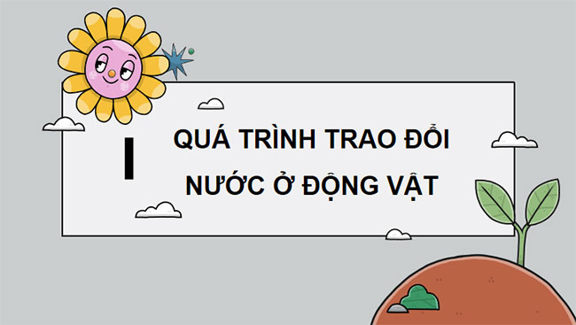 Giáo án PowerPoint Khoa học tự nhiên 7 Cánh diều Bài 26