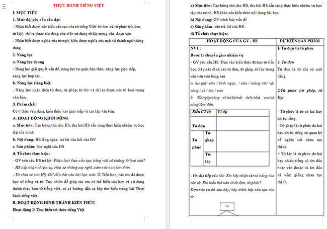 Giáo án Văn 6 Bài 1: Thực hành tiếng Việt