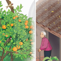 Giáo án Tiếng Việt 4 Bài 3: Quả ngọt cuối mùa