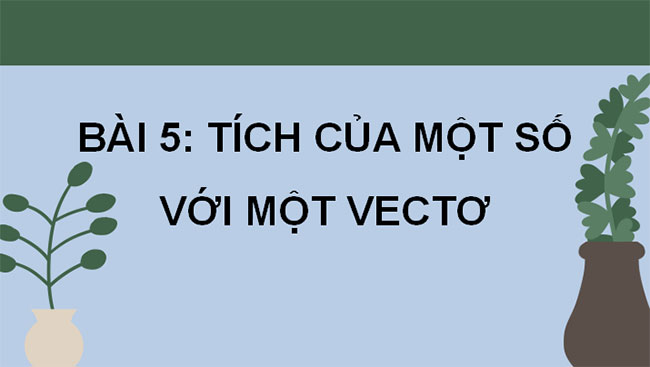 Giáo án Toán 10 Cánh diều Chương 4 Bài 5