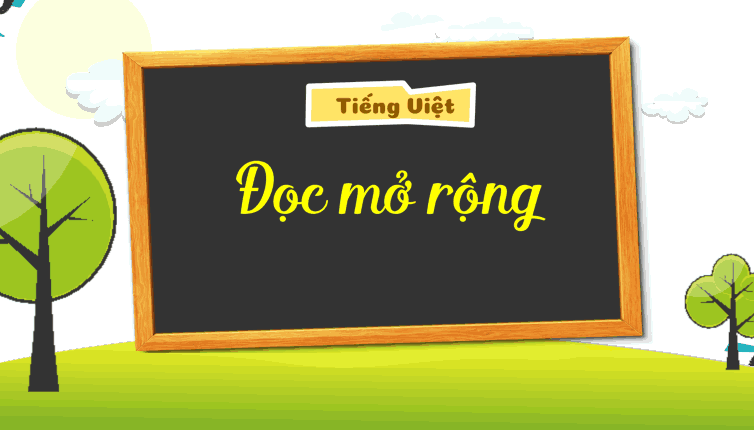Giáo án Tiếng Việt lớp 5 Bài 14: Đọc mở rộng tập 1