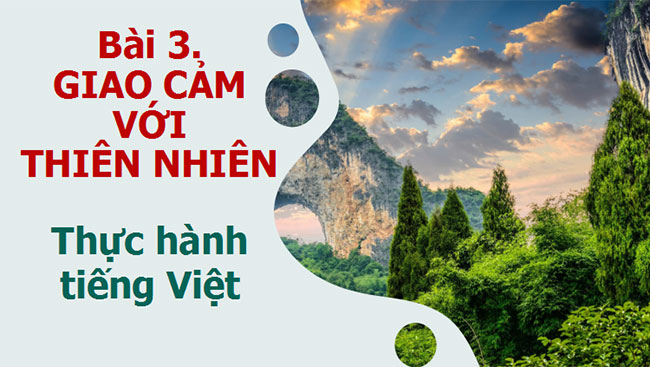 Giáo án PowerPoint Ngữ văn 10 Bài 3: Thực hành tiếng Việt