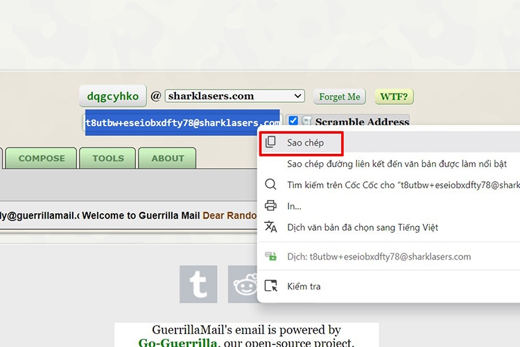 sao chép địa chỉ Email ảo.