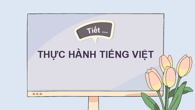 Giáo án Ngữ văn 10 Bài 2: Thực hành tiếng Việt 