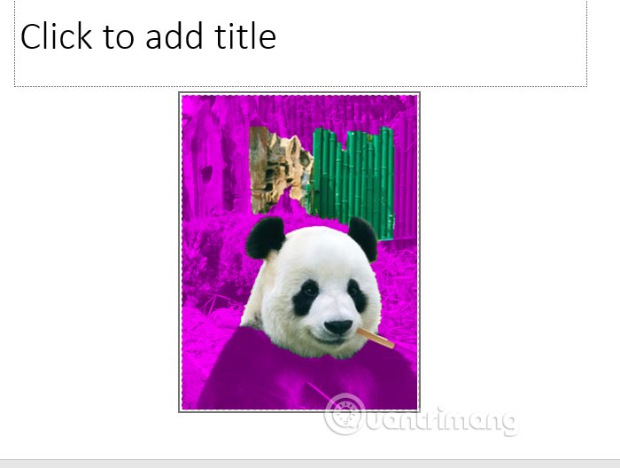 Hình ảnh với nền chuyển sang màu tím