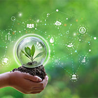 Giáo án Khoa học 4 Bài 7: Ôn tập chủ đề Chất